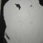 تصویر سیاه قلم 30 در 40 ببر در قاب عکس (کد محصول 1404040304)