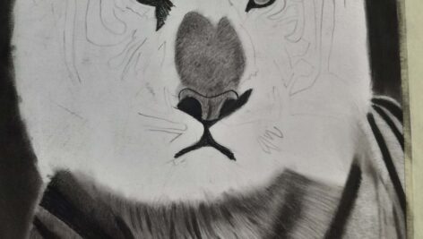 تصویر سیاه قلم 30 در 40 ببر در قاب عکس (کد محصول 1404040304)