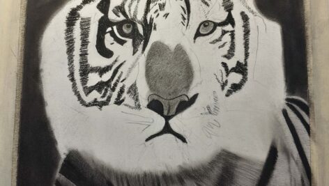 تصویر سیاه قلم 30 در 40 ببر در قاب عکس (کد محصول 1404040304)