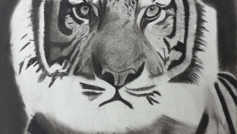 تصویر سیاه قلم 30 در 40 ببر در قاب عکس (کد محصول 1404040304)