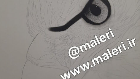 تصویر سیاه قلم 50 در 70 عقاب در قاب عکس ( کد محصول 1404072105)