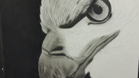 تصویر سیاه قلم 50 در 70 عقاب در قاب عکس ( کد محصول 1404072105)