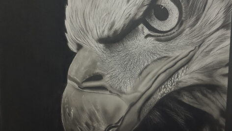 تصویر سیاه قلم 50 در 70 عقاب در قاب عکس ( کد محصول 1404072105)